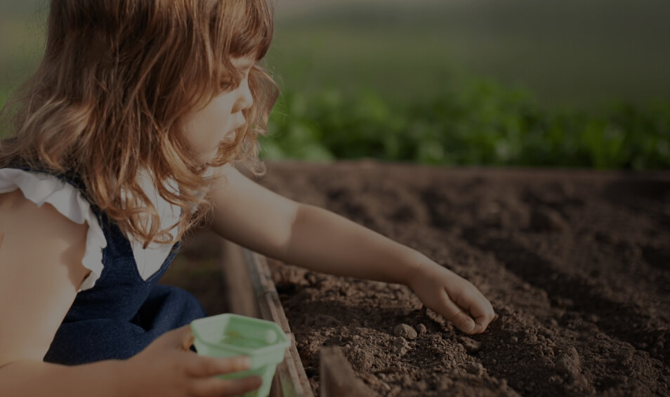 Image showing a girl gardening